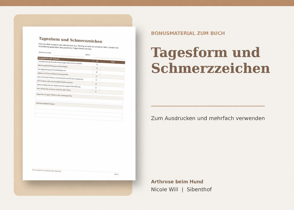 01 tagesform und schmerzzeichen mockup