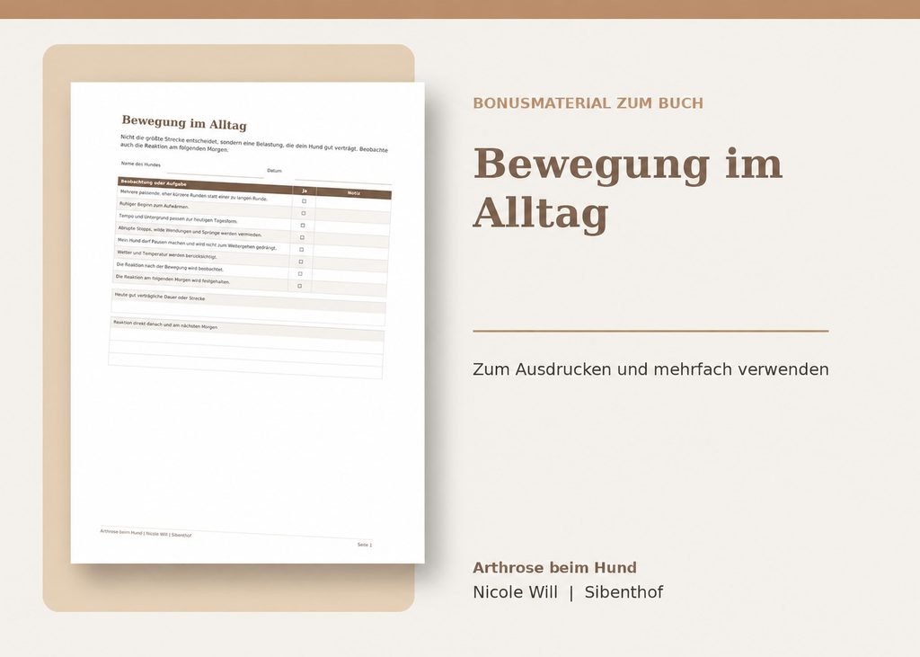 03 bewegung im alltag mockup