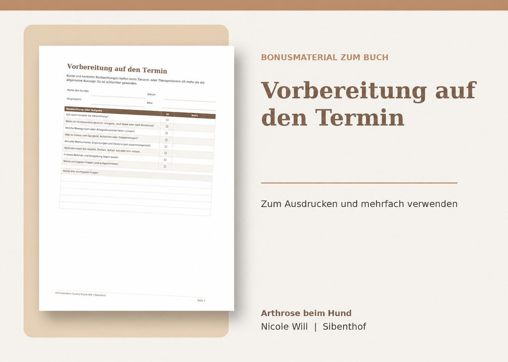 05 vorbereitung tierarzt oder therapie mockup