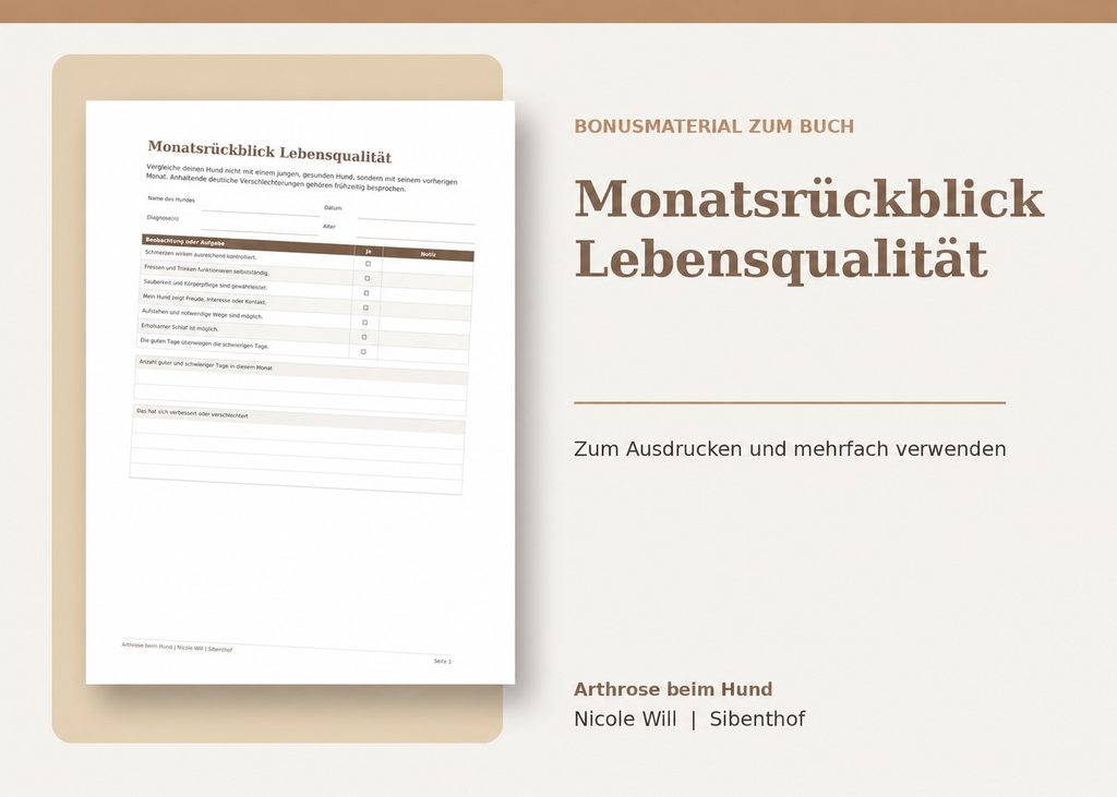 06 monatsrueckblick lebensqualitaet mockup