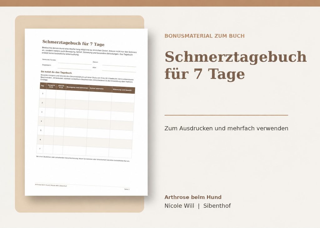 07 schmerztagebuch 7 tage mockup