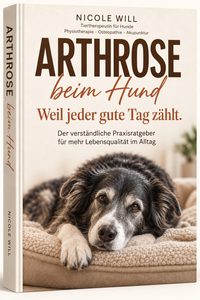 buchcover1